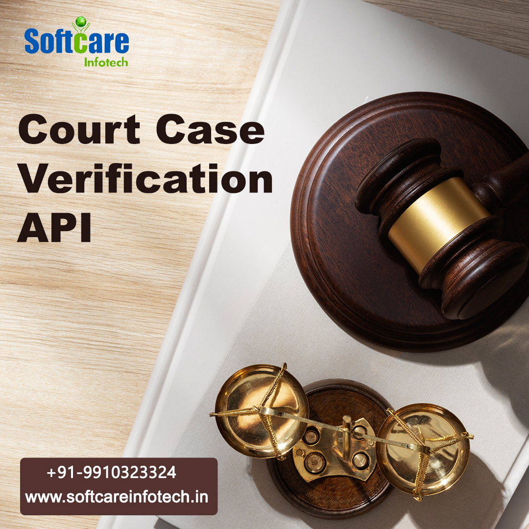 Affordable Court Case status Verification API Provider Comapny