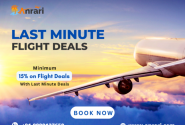 Last Minute Flight Deals