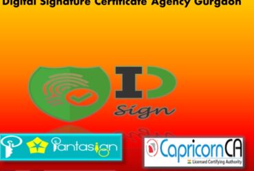 Responsible Digital Signature Certificate Agency in Gurgaon