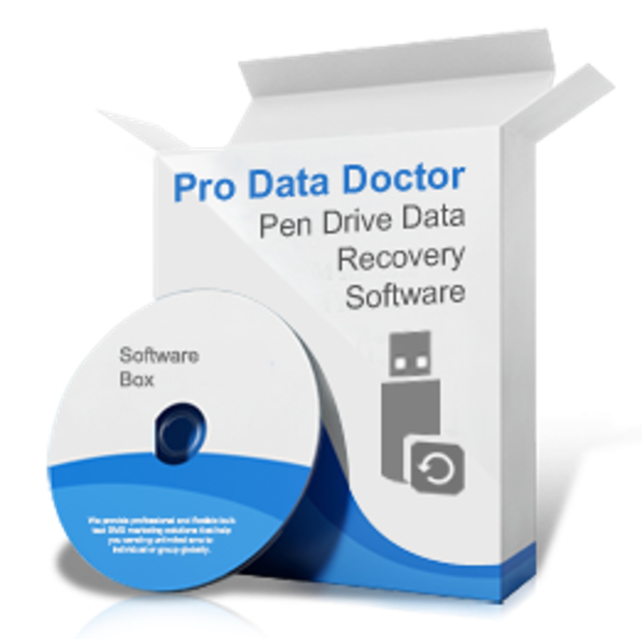 Pen Drive Data Recovery.