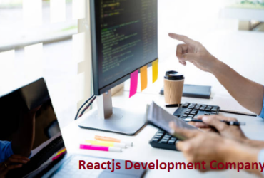 Reactjs Development Services in Noida