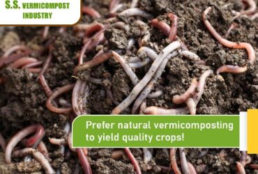 Vermicompost Suppliers | Vermicompost Manufacturers |SSVermi