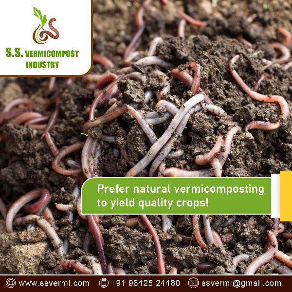 Vermicompost Suppliers | Vermicompost Manufacturers |SSVermi