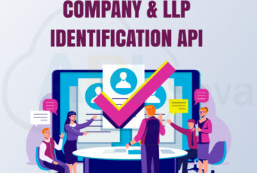 API Seva Company Verification API Provider in india