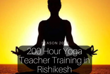 200 Hour Yoga Teacher Training in Rishikesh: Unleashing Your Inner Yogi