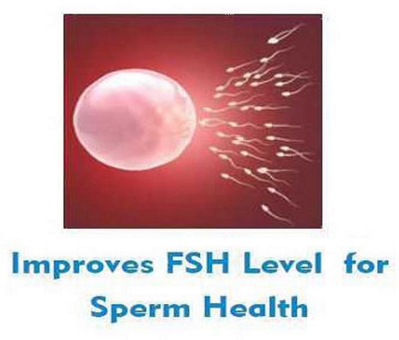 Male Infertility Treatment in India