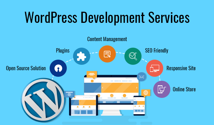 CMS Implementation WordPress Website Developer | Vapour Soft