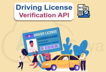 Best Driving License Status API Provider Company