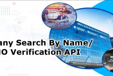 API Seva Offer Company Verification by Name API in India