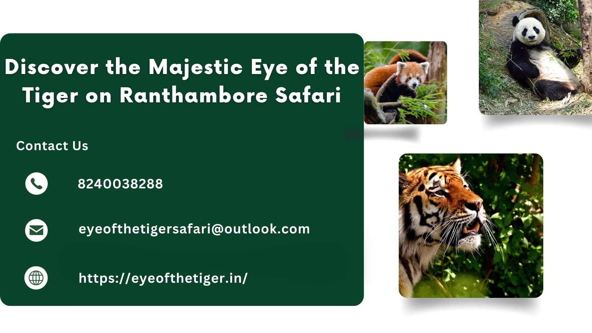 Discover the Majestic Eye of the Tiger on Ranthambore Safari