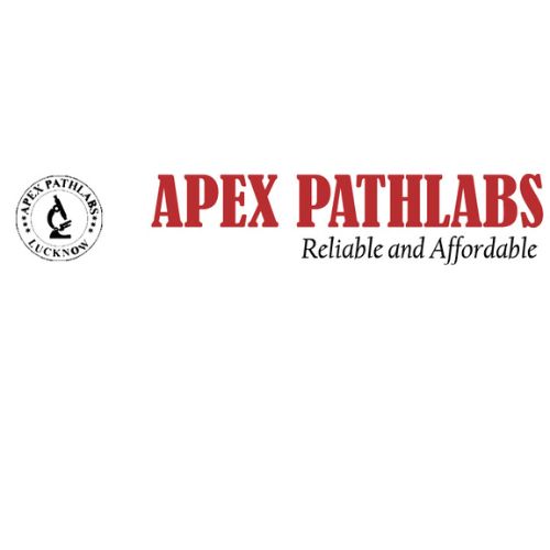 KUB Scan in Gomti Nagar, Lucknow – Apex PathLabs