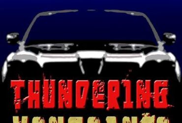 Thundering Vengeance novel