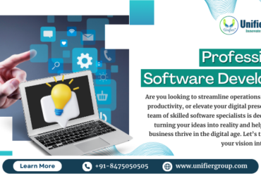 Software Development Company in Meerut