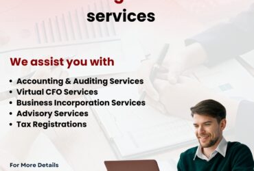 Best Accounting and Taxation Services in Hyderabad