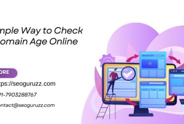 Simple Way to Check Domain Age Online