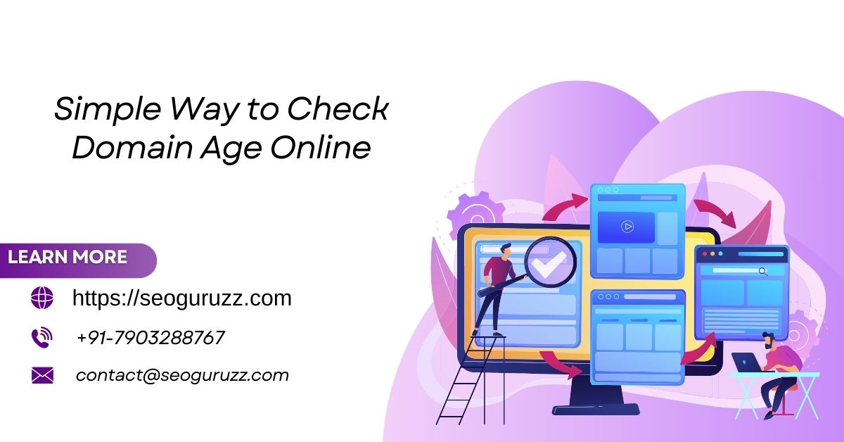 Simple Way to Check Domain Age Online