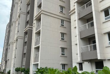 1249 Sq.Ft Flat with 2BHK For Sale in Kalkere Agara Main Road Bengaluru