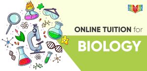 Want Biology Tuition? Learn Smarter with One-on-One Guidance