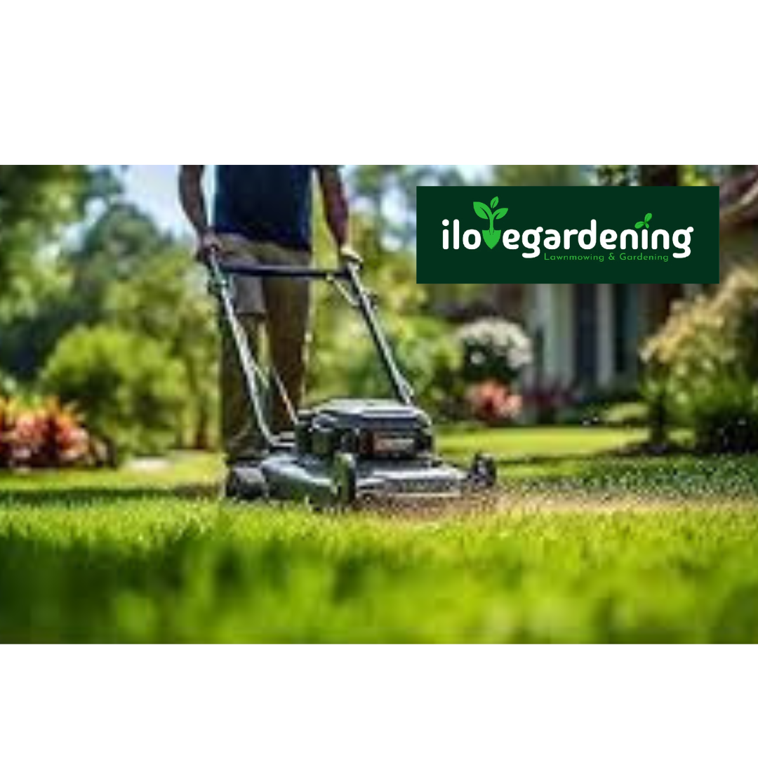 Cheap Grass Cutting Service Near Me – I love gardening