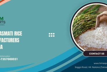 Best Non Basmati Rice Manufacturers in India