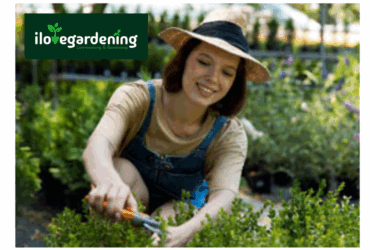 Lawn Mowing Services Melbourne | I Love Gardening