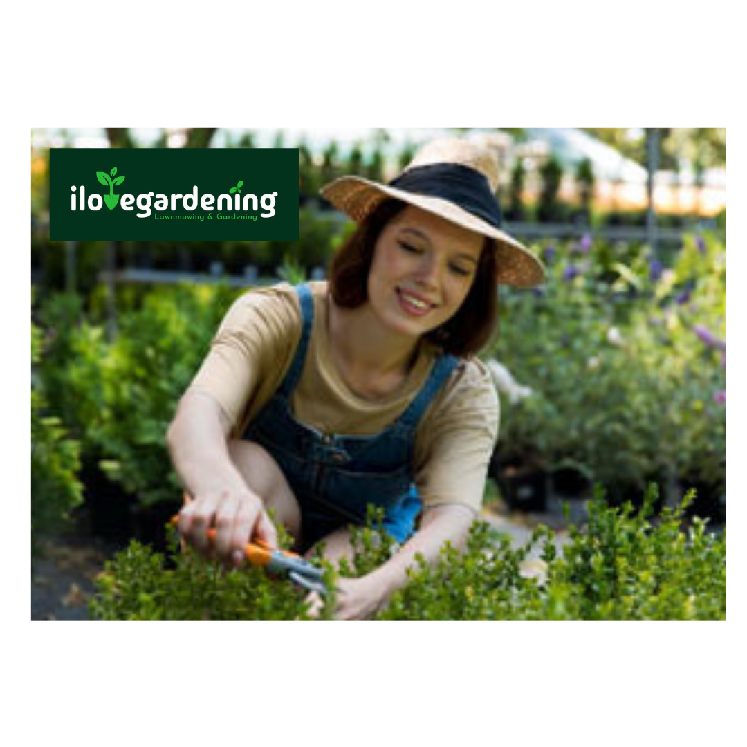 Lawn Mowing Services Melbourne | I Love Gardening
