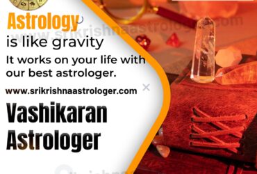 Best Astrologer in Ahmednagar