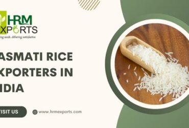Best Basmati Rice Exporters in India