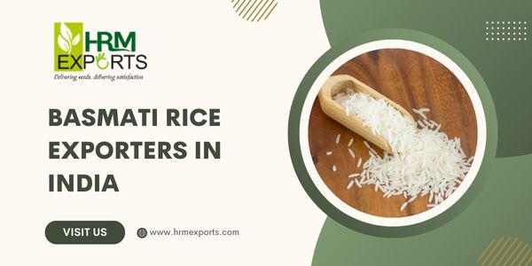 Best Basmati Rice Exporters in India