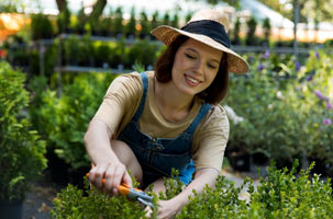 Lawn Mowing Services Hoppers Crossing -I love gardening