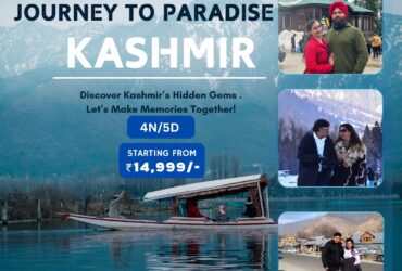 Best Manali Tour Package from Faridabad – Customized Manali Trips 2025
